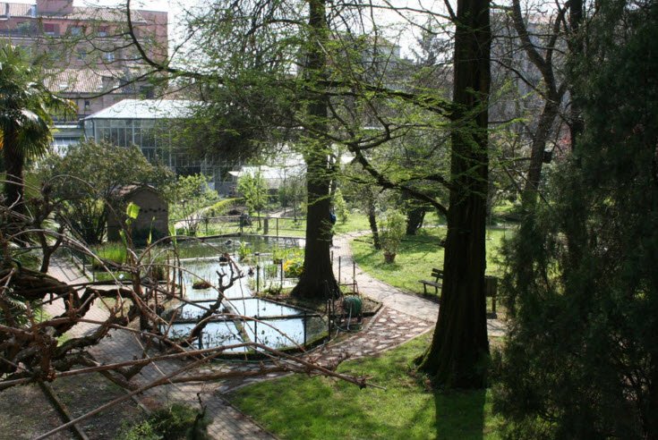 Botanical Garden of the University of Ferrara, Ferrara, Italy, Italy